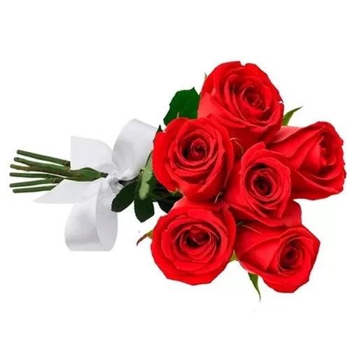 Buquê de 6 Rosas Vermelhas e Almofada Minnie - Imagem 3