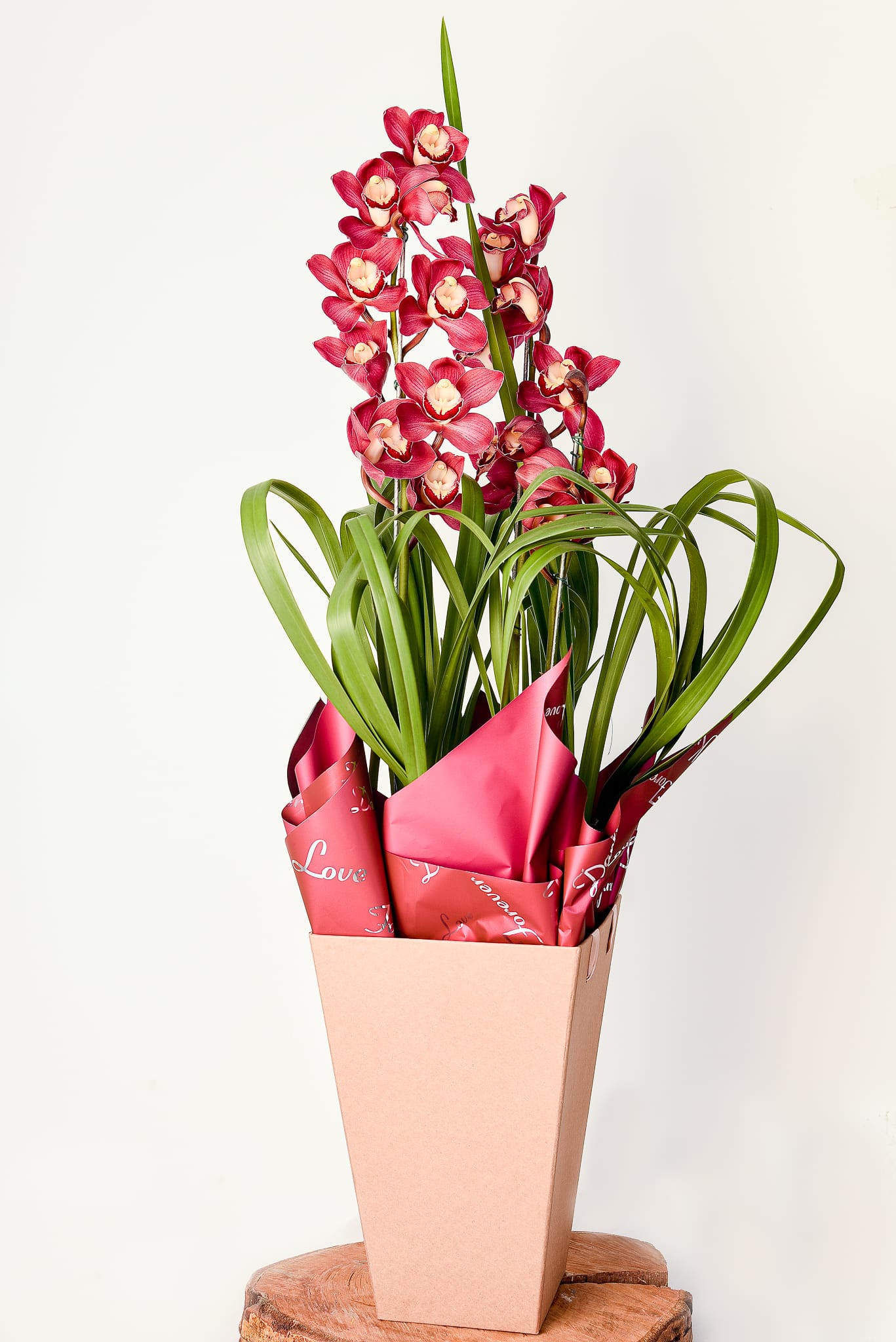 Orquídea Suprema